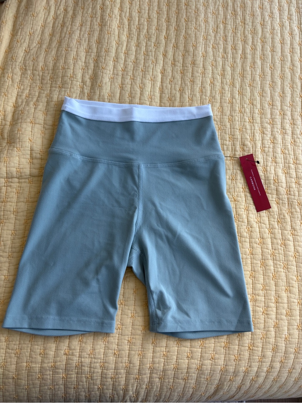 Women's High-Waist Mint Green Active Bike Shorts